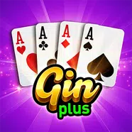 Gin Rummy Plus apk APK icon