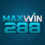 Maxwin288 APK icon