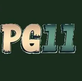 PG11 PG11 APK icon